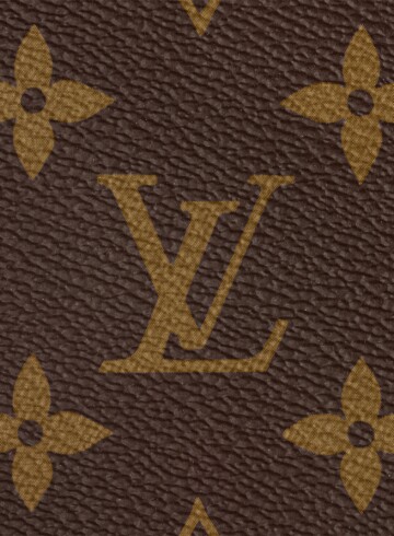 Louis Vuitton - Neverfull MM bag