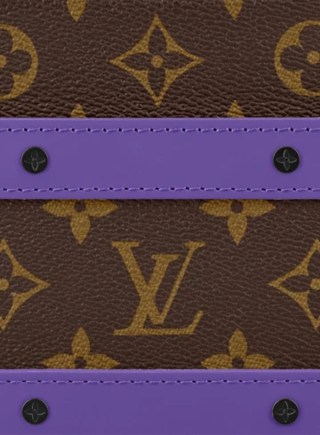 Louis Vuitton - Handle Soft Trunk
