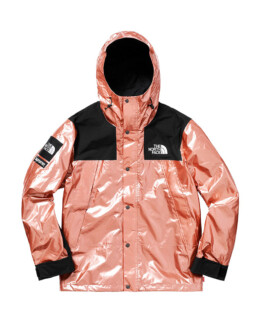 The North Face - Supreme The North Face Metallic Mountain Parka Rose Gold