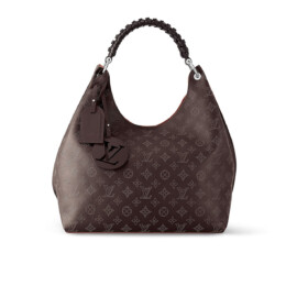 Louis Vuitton - Louis Vuitton Carmel hobo bag