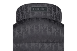 Dior Oblique Down Vest