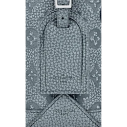 Louis Vuitton - Hobo Cruiser PM Bag