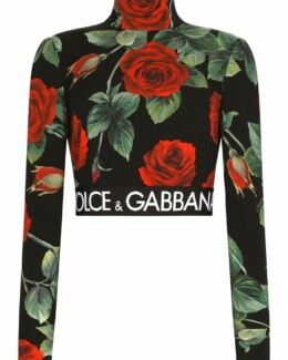 Dolce & Gabbana - Dolce & Gabbana turtleneck long-sleeve cropped top