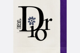 Christian Dior - Dior by Erl Basketball Shorts
